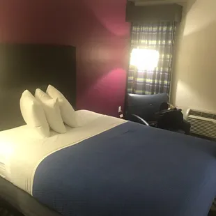 The beautiful vibrant colors