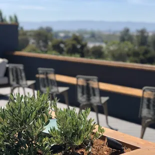 Stratus Rooftop Lounge