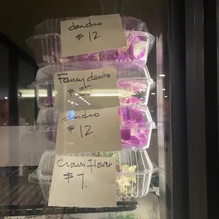 Lei prices aren't so bad!