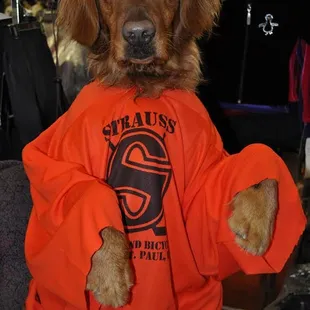 Boogaard!  Employee of the month!