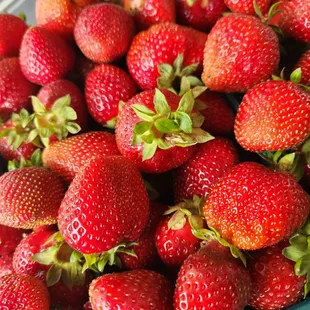 Strawberries Picked Fresh Daily