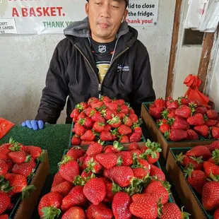 Support this Lao-family owned farm stand said to be the best strawberries in Stockton