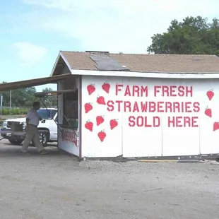 a man selling strawberries
