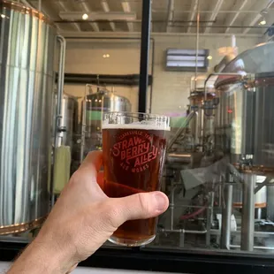 Try the Vienna Lager!