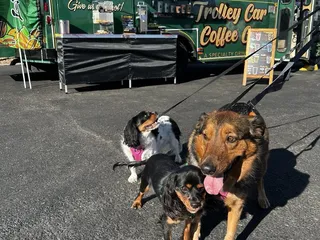 Trolley Car Coffee