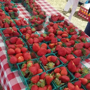 Delicious strawberries!