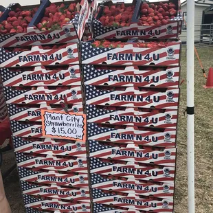 Plant city strawberries