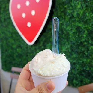 a hand holding a cup of ice cream