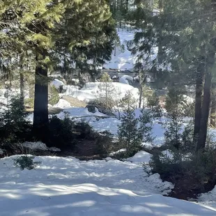 Serine view firm the dinning area