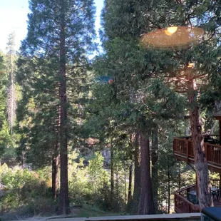 View of the outdoor area