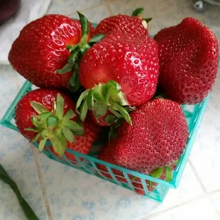 Strawberries perfect for serving immediately. None are unripe or overripe.
