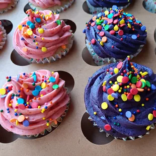 Strawberry and Blueberry Frosted cupcakes