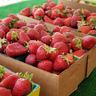 Strawberry Stand