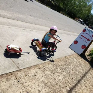 Awe...the cutest little girl picking up her strawberries from the neighborhood stand!!