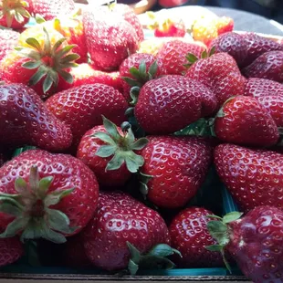 Our awesome little neighborhood stand. We love this place!!!