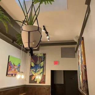 a plant hanging from the ceiling