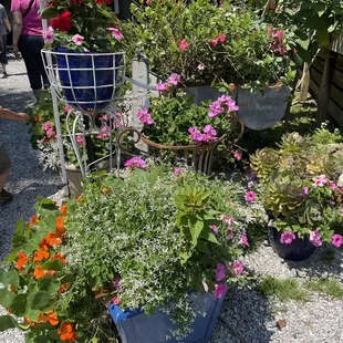 Beautiful flowers throughout!