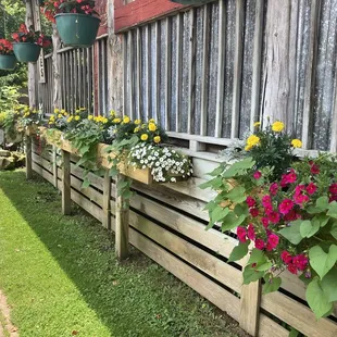 Flowers were just beautiful.