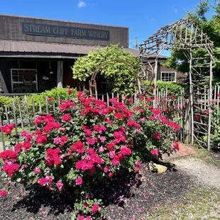 entry to the main store