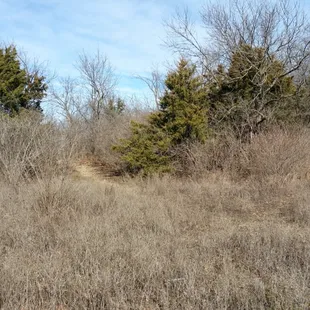 Side trail