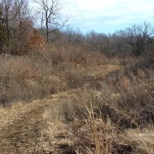 Side trail