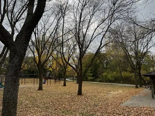 Electric Park