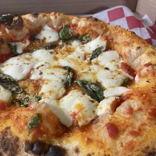 Margherita. 2-4 day cold ferment on the dough. Tasty.