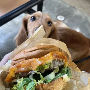 bagels, food