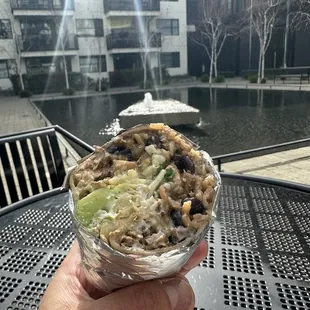 Street meat burrito