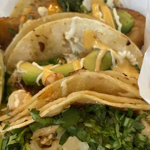 Chicken, shrimp and tilapia tacos