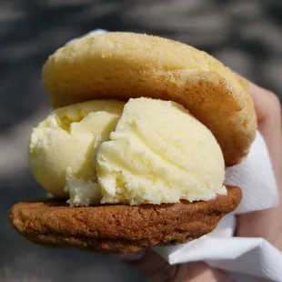 Ice cream sandwich, with Snickerdoodle and Chocolate Chip Cookies, and Vanilla Ice Cream