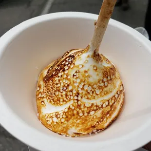 Ice Cream in Toasted Marshmallow