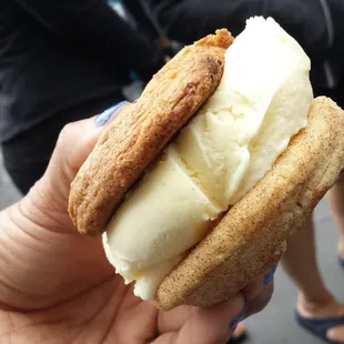 Chocolate chip, snicker-doodle, and vanilla icecream!