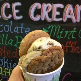 Cookie dough and coffee ice cream with chocolate chip and snickerdoodle cookie. Delish!