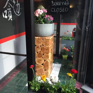 The appearance of this place is seasonally changed. Spring time they got so many beautiful flowers in the restaurant.