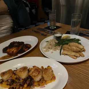 Perch, scallops and salmon