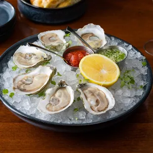 East Coast Oysters