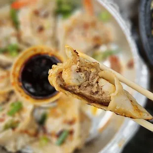 Pork Shrimp Pan Fried Dumplings