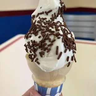 a hand holding an ice cream cone with chocolate sprinkles