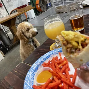 Dog Friendly and Food Trucks!