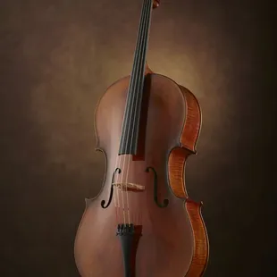 Modello dall' estetica antica 500 with oil varnish