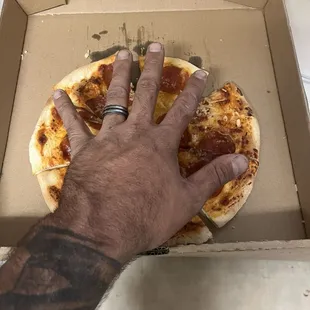 Smaller than my husband hand .