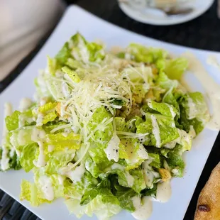 salad, food, salads