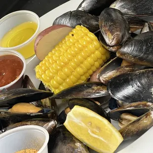 food, oysters and mussels, mussels, shellfish, oysters