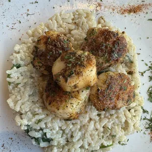 Scallop Risotto