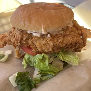 chicken wings and fried chicken, bbq wings, poultry, chicken wings, food, fried chicken wings, fried chicken, chicken, bbq chicken