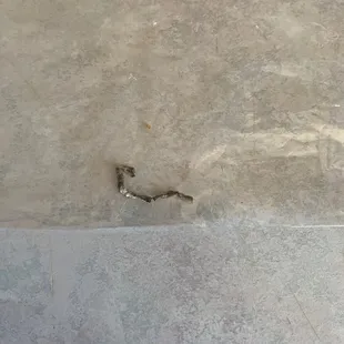 a crack in the concrete