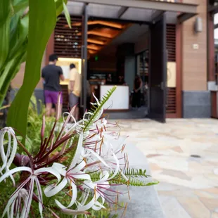 sushi and sashimi, interior