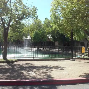 View of Stronger Fitness from the rose bud fountain