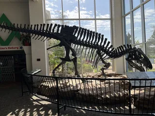 Jasmine Moran Children's Museum